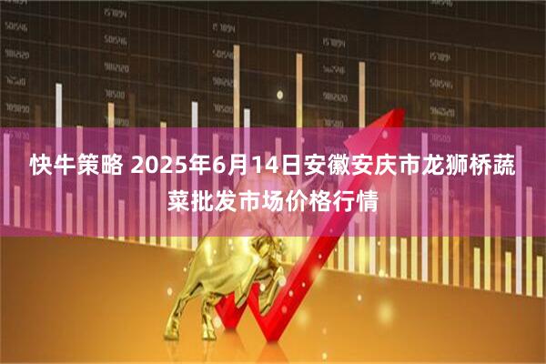 快牛策略 2025年6月14日安徽安庆市龙狮桥蔬菜批发市场价格行情